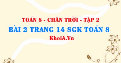 Bài 2 trang 14 Toán 8 Chân trời sáng tạo Tập 2